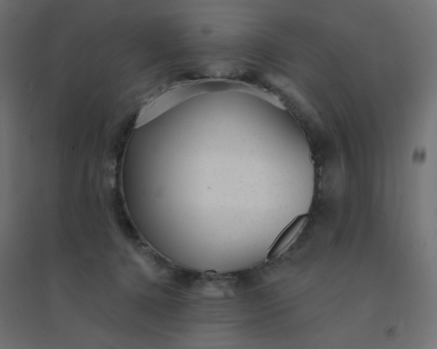 X0000094460368200711211546