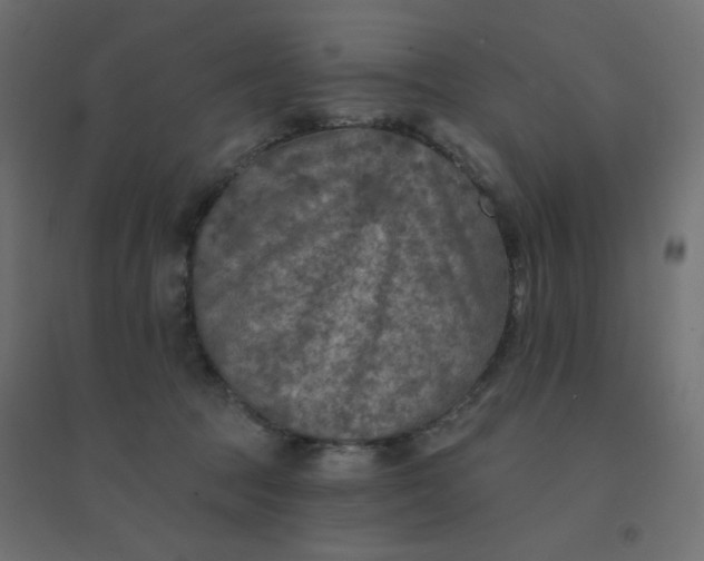 X0000094460369200711211546