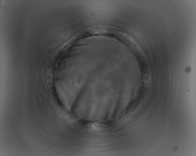 X0000094460372200711211546