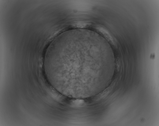 X0000094460374200711211546