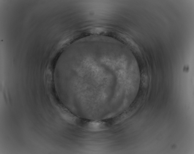 X0000094460375200711211546