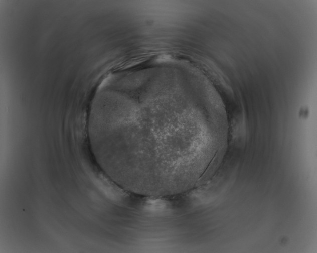 X0000094460376200711211546