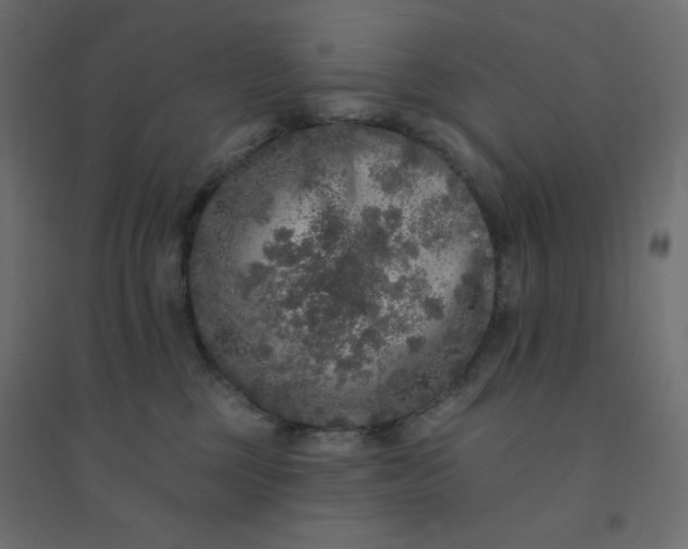 X0000094460377200711211546