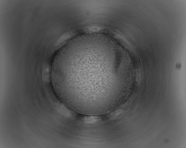 X0000094460378200711211546