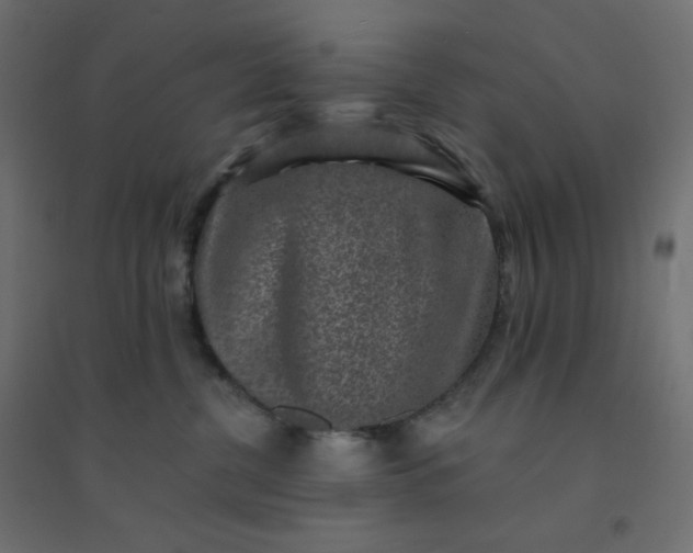 X0000094460380200711211546