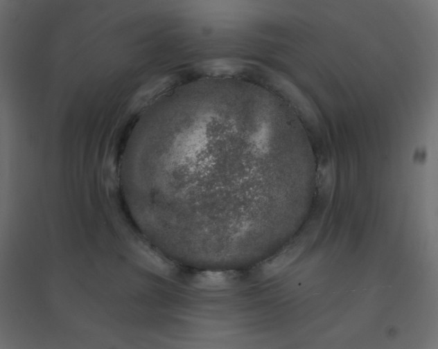 X0000094460381200711211546