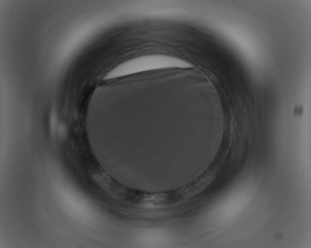 X0000094460382200711211546