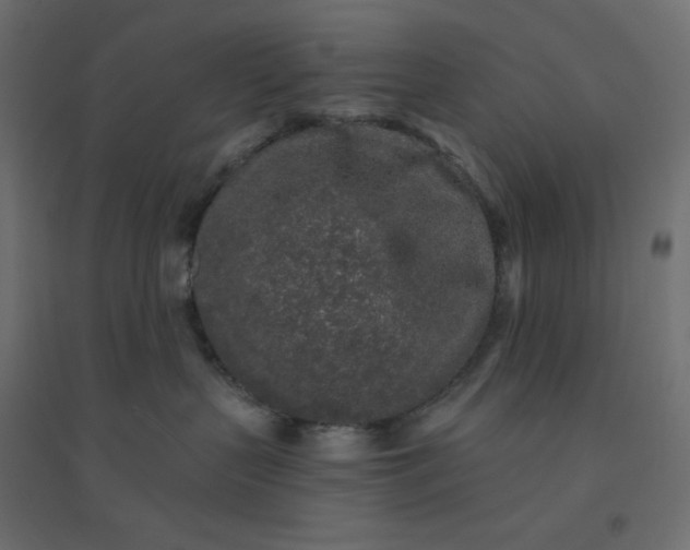 X0000094460383200711211546