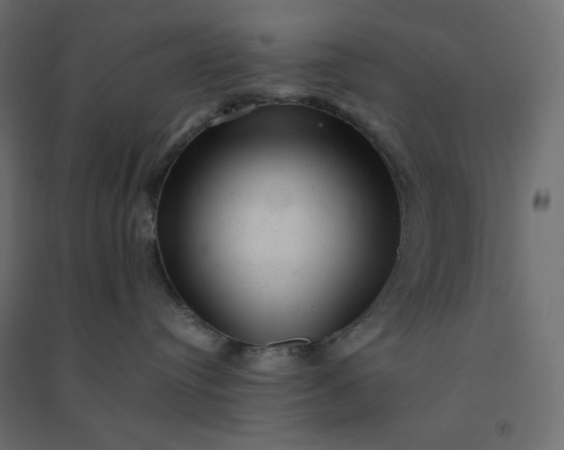 X0000094460384200711211546