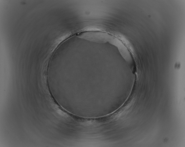 X0000094460385200711211545