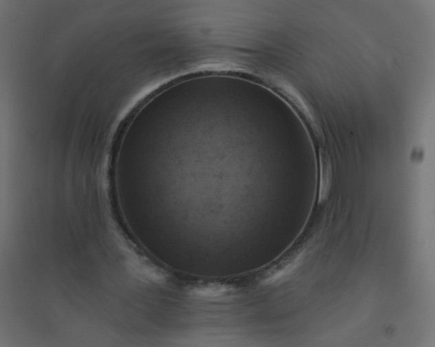 X0000094460387200711211545