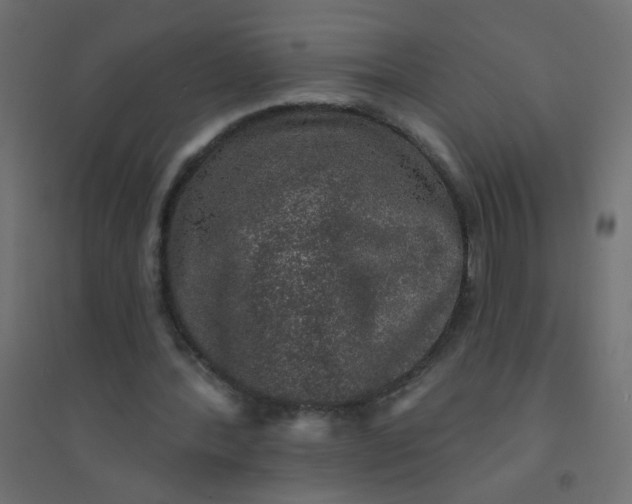 X0000094460388200711211545