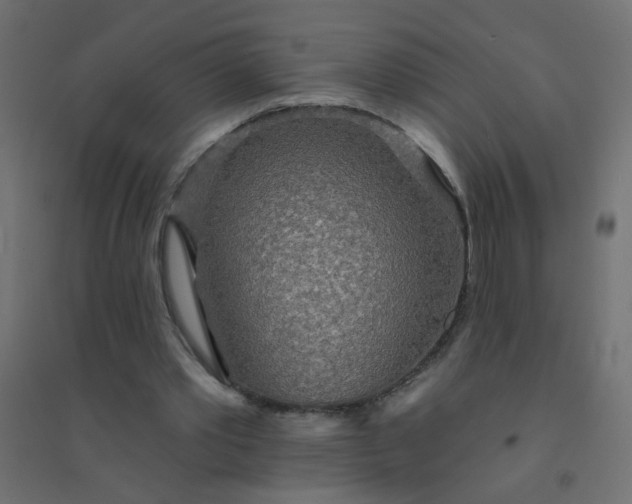 X0000094460389200711211545