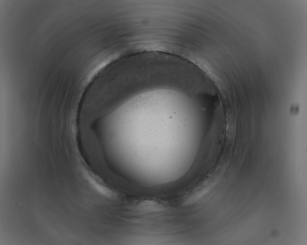 X0000094460390200711211545