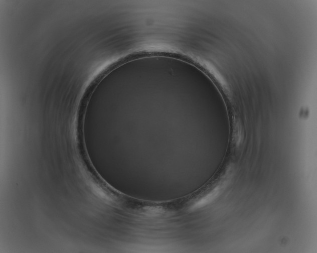 X0000094460391200711211545