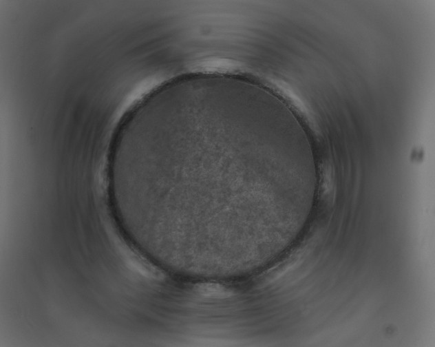 X0000094460392200711211545