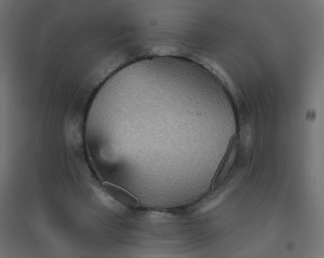 X0000094460393200711211545