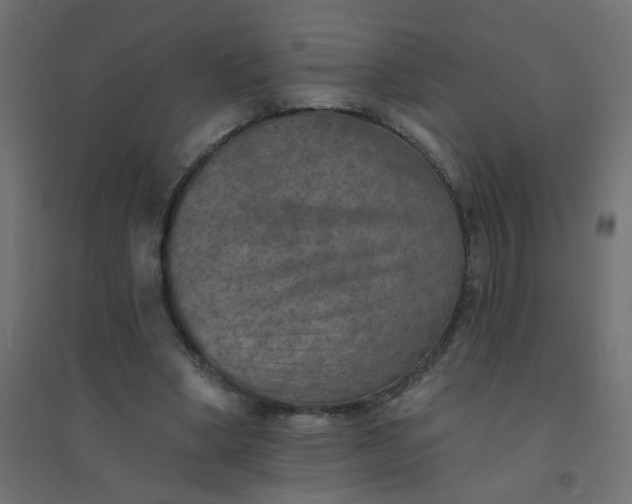 X0000094460394200711211545