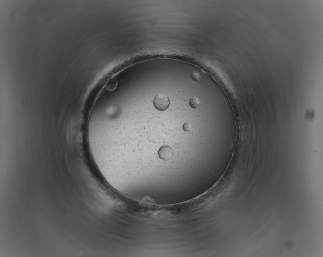 X0000094460395200711211545