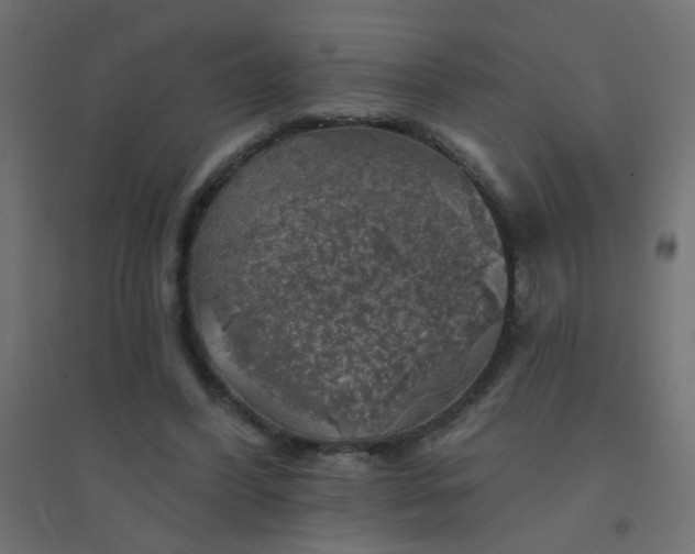 X0000094460396200711211545