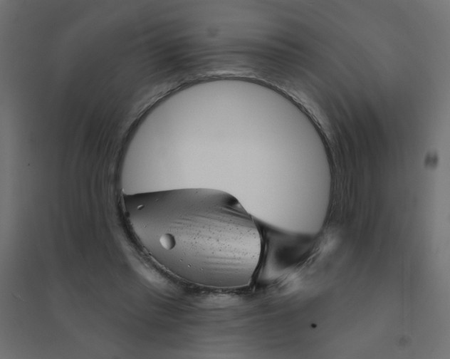 X0000094460397200711211545