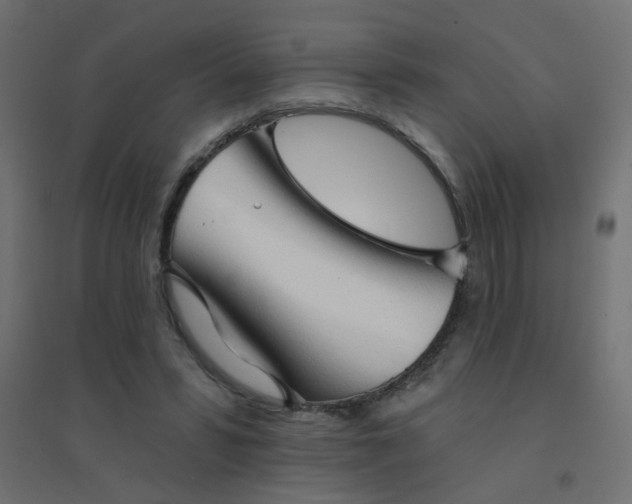 X0000094460399200711211545