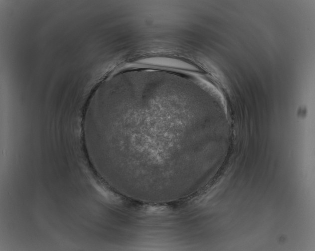 X0000094460401200711211545