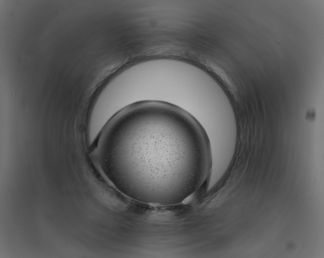 X0000094460403200711211545