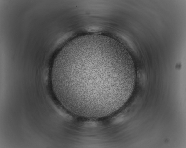 X0000094460404200711211545