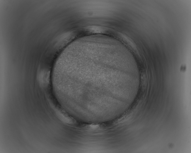 X0000094460406200711211545