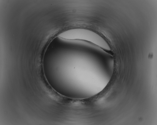 X0000094460407200711211545