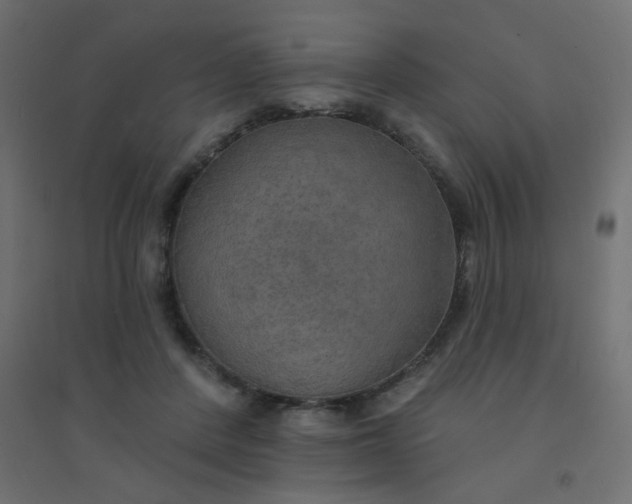 X0000094460408200711211545