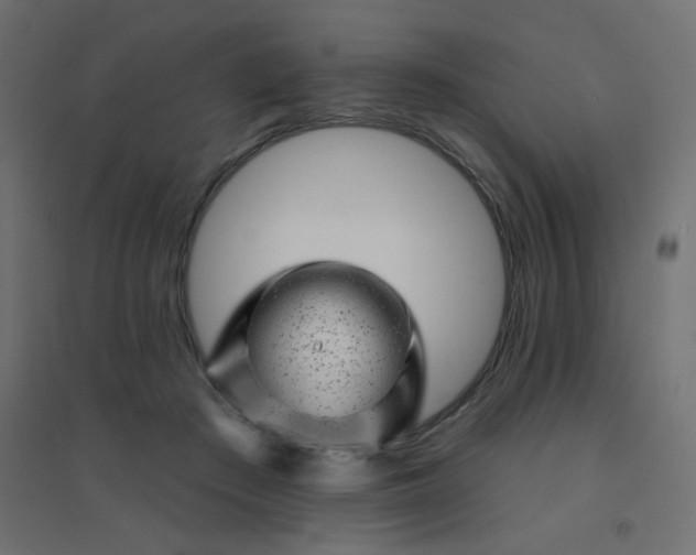 X0000094460409200711211545