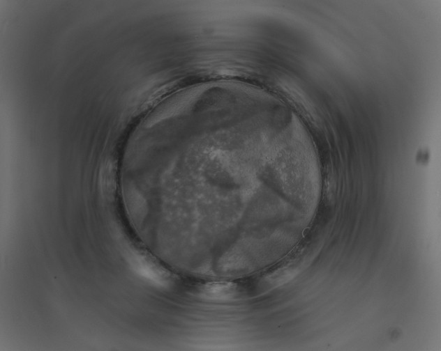 X0000094460410200711211545