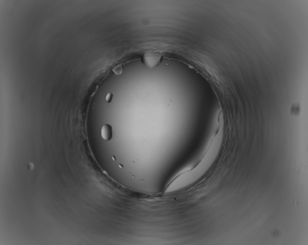 X0000094460411200711211545