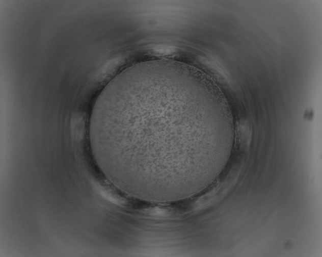 X0000094460412200711211545