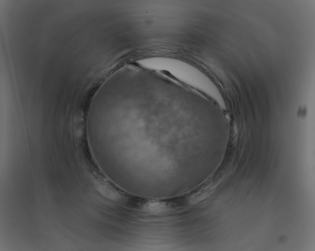 X0000094460413200711211545