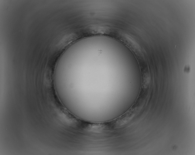 X0000094460414200711211545