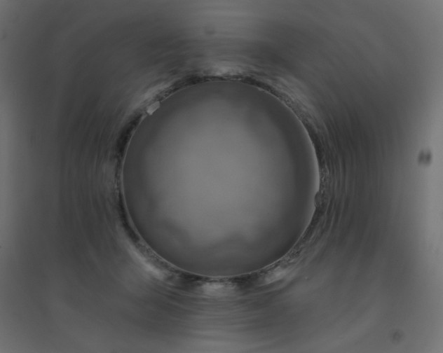 X0000094460415200711211545