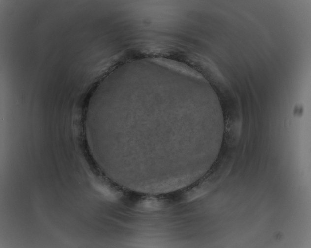 X0000094460416200711211545