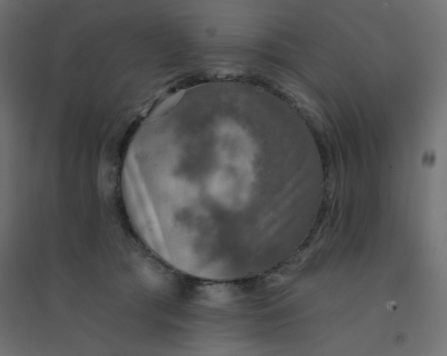 X0000094460417200711211545