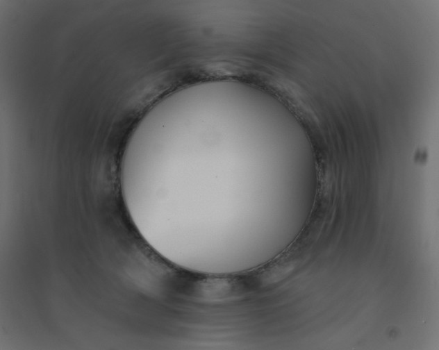 X0000094460418200711211545