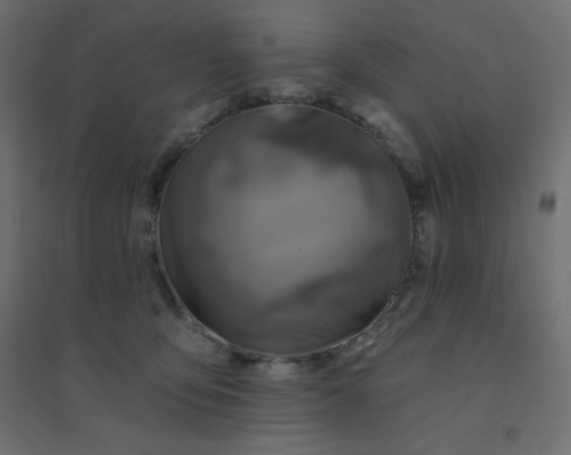 X0000094460419200711211545