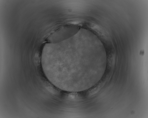 X0000094460420200711211545