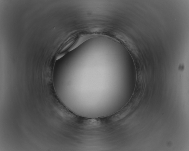 X0000094460421200711211545