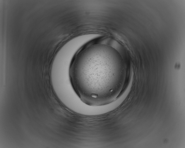 X0000094460423200711211545