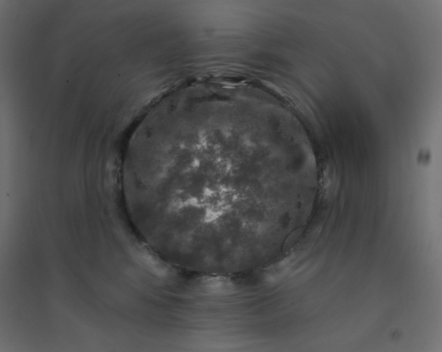 X0000094460424200711211545