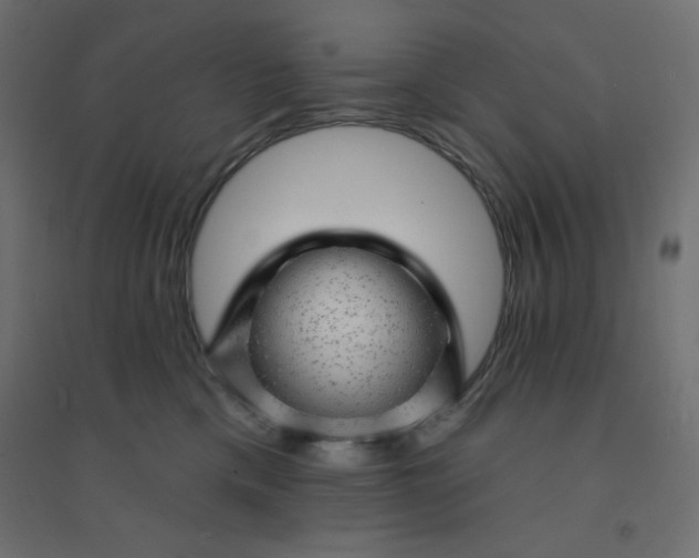 X0000094460425200711211545