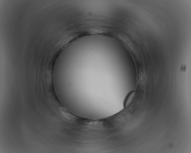 X0000094460426200711211545