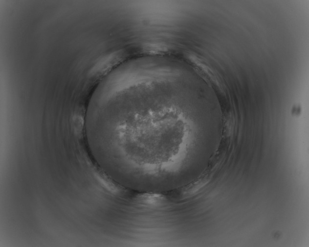 X0000094460427200711211545